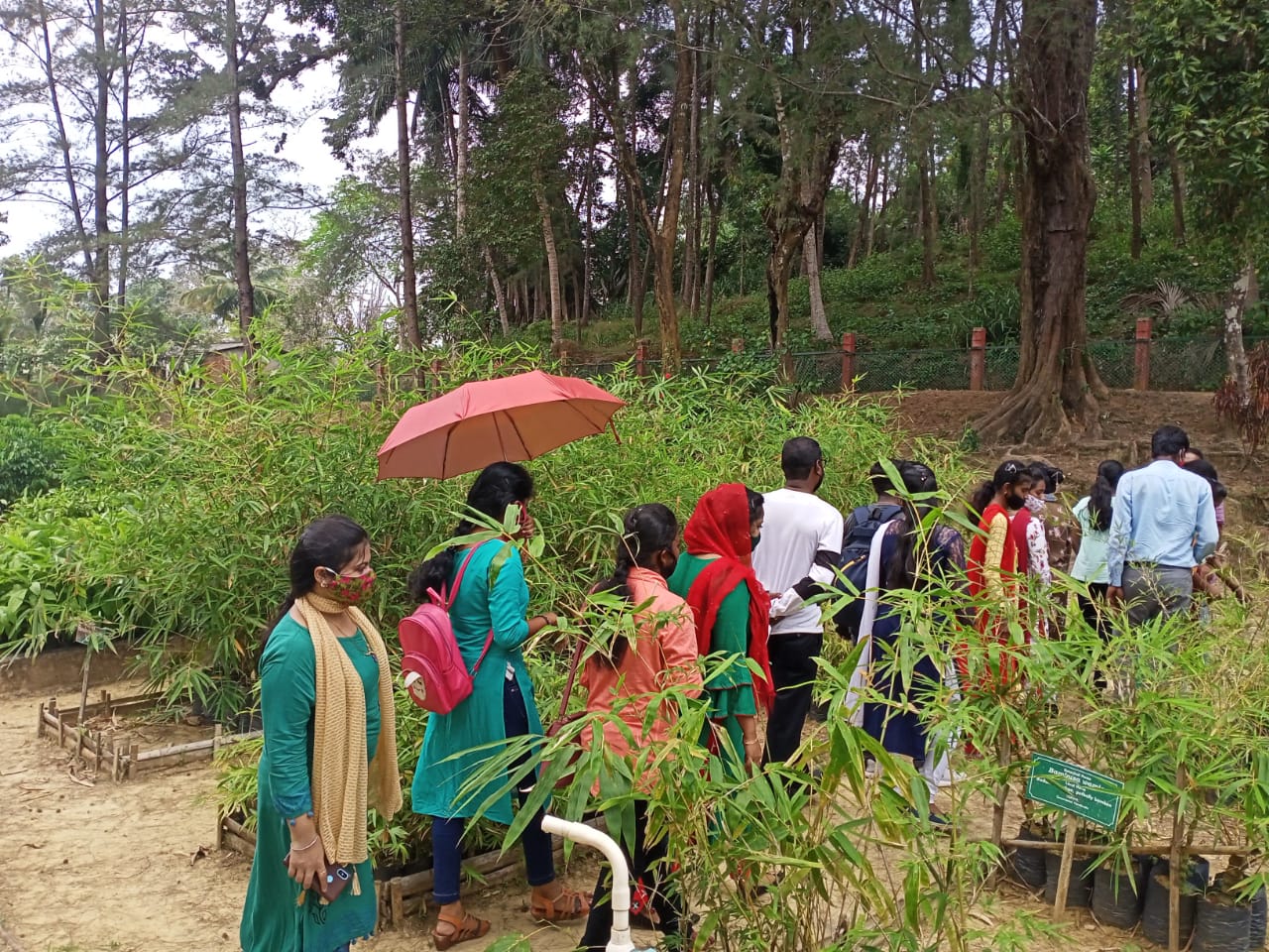 Botanical Garden, Nayashehar to visit the different variety of Bamboos